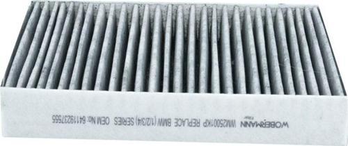 Bmw 4 Gran 420 I 2014-2015 Karbonlu Polen Filtresi