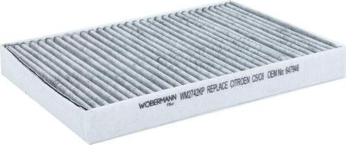 Peugeot 407 Coupe 3.0 V6 2005-2019 Karbonlu Polen Filtresi