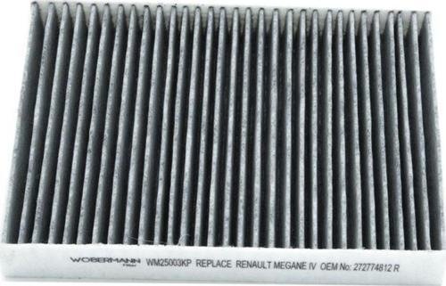 Renault Megane Iv 1.6 Tce 205 2016-2019 Karbonlu Polen Filtresi