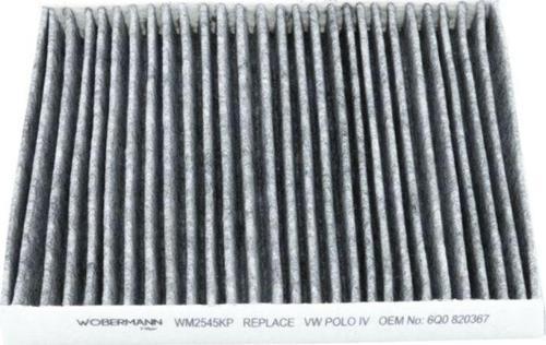 Seat Cordoba 1.6 16V 2002-2009 Karbonlu Polen Filtresi