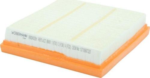 Bmw 4 Gran 420 I 2014-2015 Hava Filtresi