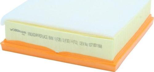 Bmw 2 Cabrio 220 D 2014-2016 Hava Filtresi