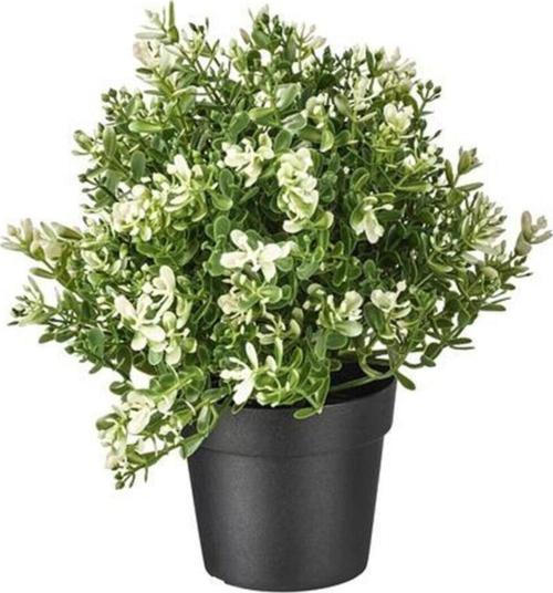 Saksı Fejka Yapay Dekoratif Çiçek Kekik 22 Cm Bej