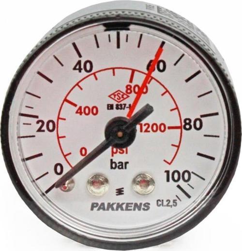0-100 Bar 40 mm Arkadan Bağlantılı Kuru Manometre G 1/8 inç
