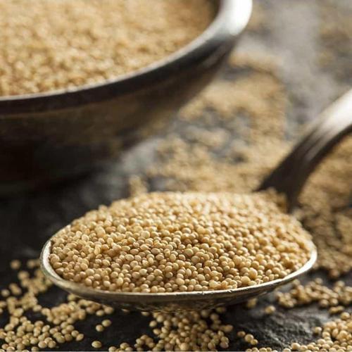 Amarant Glutensiz 100 Gr Amaranth Tohumu