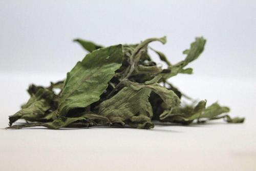 Şeker Otu 100 Gr.