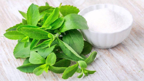 Stevia Otu 20 Gr