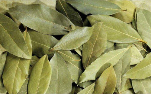 Defne Yaprağı 50 Gr