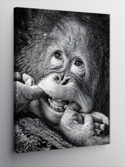 Kanvas Tablo Gülümseyen Orangutan