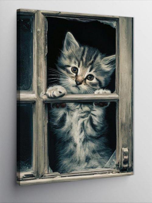 Kanvas Tablo Penceredeki Yavru Kedi