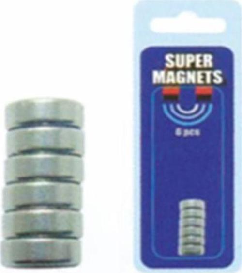 MIKNATIS (13mm ÇAP*2mm YÜKSEKLİK)