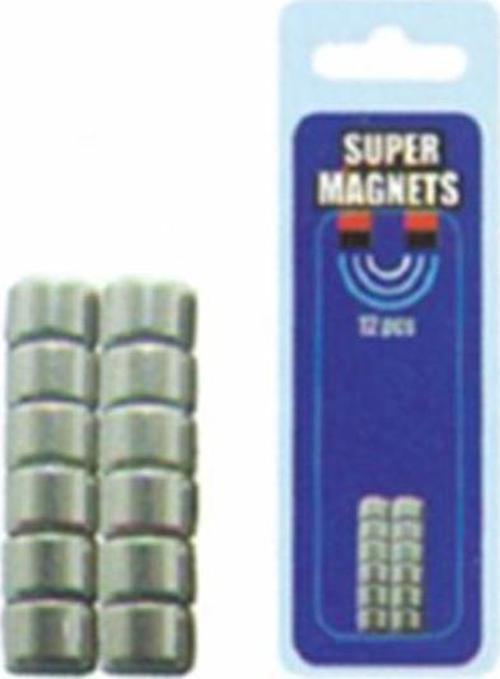MIKNATIS (6mm ÇAP*3mm YÜKSEKLİK)