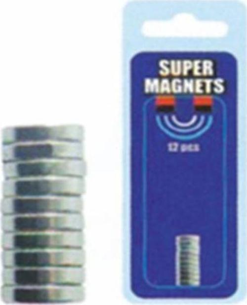MIKNATIS (8mm ÇAP*2mm YÜKSEKLİK)