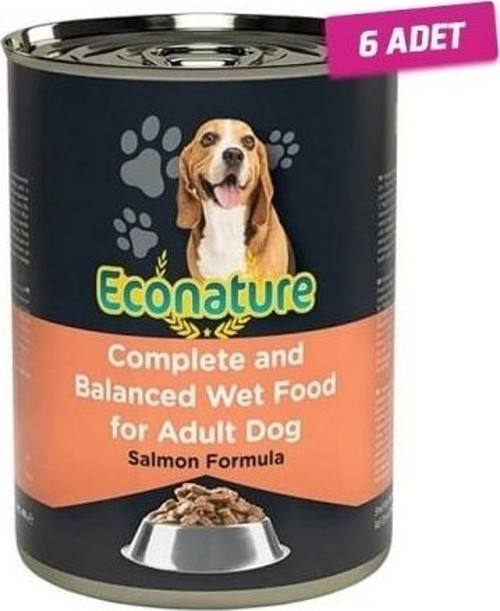 6 Adet Somonlu Yetişkin Köpek Konservesi 400 gr