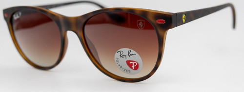 RB 2202-M F613/13 54/19 Polarize Unisex Güneş Gözlüğü