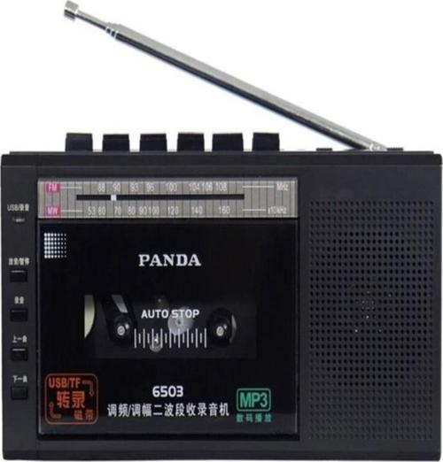 Panda 6503 25W Kaset Çalar Radyo Usb/Tf Kaydedici Bant Mikrofon Çok Fonksiyonlu Müzik Çalar