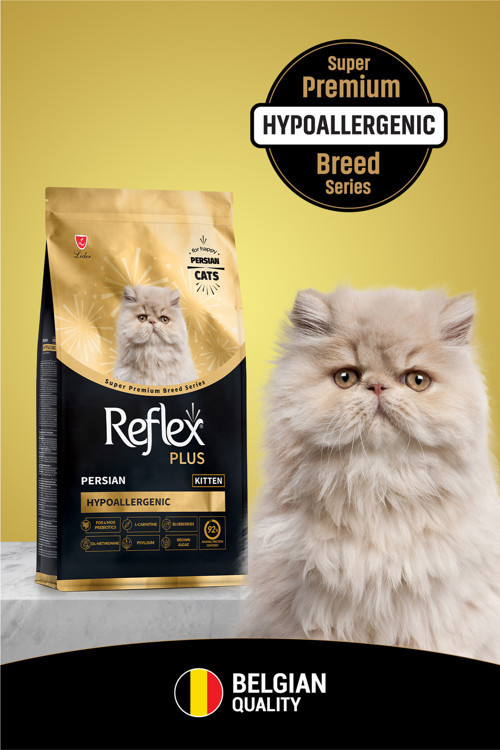 Plus Persian Hipoalerjenik Yavru Kedi Maması 1,5 Kg