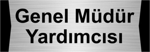 Genel Müdür Yardımcısı 7X20Cm Gümüş Renk Metal Yönlendirme Levhası