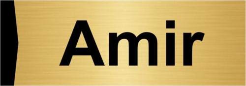 Amir 7X20Cm Altın Renk Metal Yönlendirme Levhası