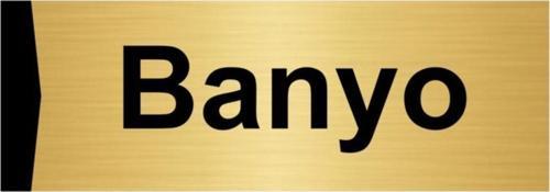 Banyo 7X20Cm Altın Renk Metal Yönlendirme Levhası