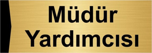 Müdür Yardımcısı 5X20Cm Altın Renk Metal Yönlendirme Levhası