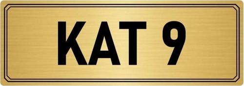 Metal Yönlendirme Levhası, Departman Kapı Isimliği Kat 9 7X20 Cm Altın Renk