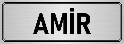 Metal Yönlendirme Levhası, Departman Kapı Isimliği Amir 10X20 Cm Gümüş Renk