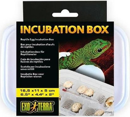 Incubation Box Sürüngenler İçin Kuluçka Kutusu 16,5x11x5 Cm