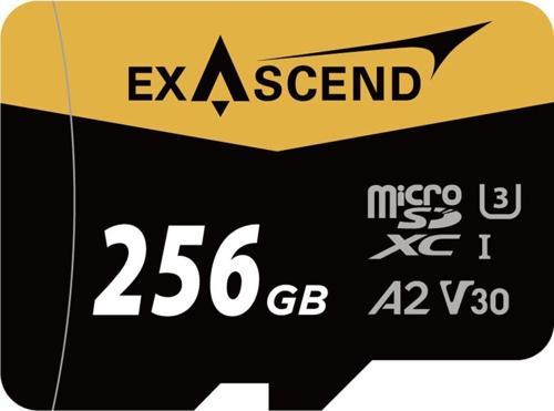 256Gb Catalyst Uhs-I Microsdxc Hafıza Kartı
