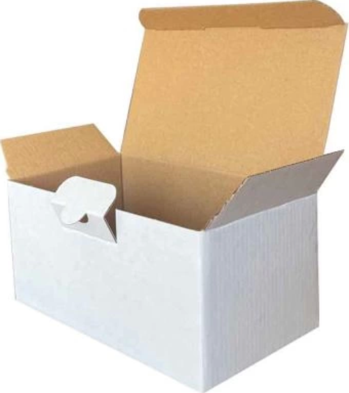17,5x10x8,5cm Kilitli Kutu - Beyaz