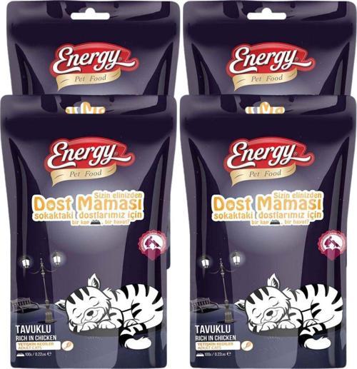Dost Kedi Maması 100 G - 4 Adet