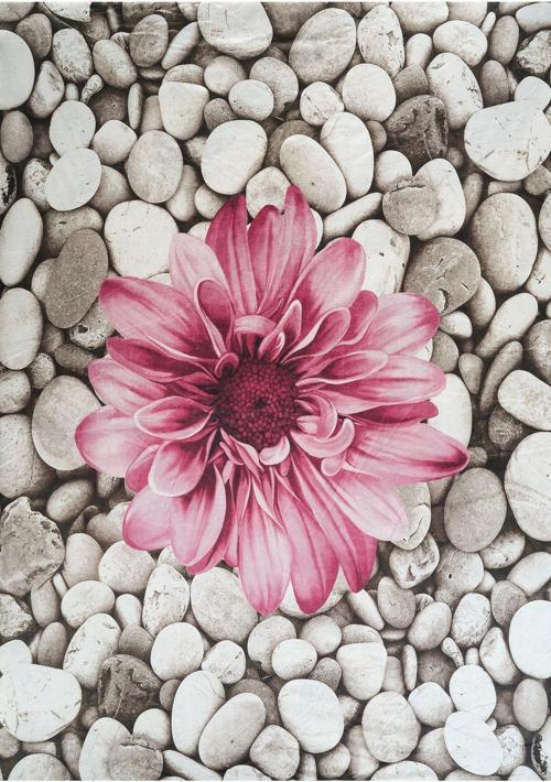 Kadife Dokulu Lastikli Süngerli Kaymaz Yıkanabilir Modern Desenlerde Halı Örtüsü- 6 M2