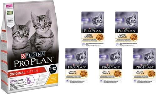 Kitten Junior Yavru Tavuklu Chicken Kedi Maması 1,5 Kg +  Kitten Yavru Yaş Kedi Maması 5 Ad.