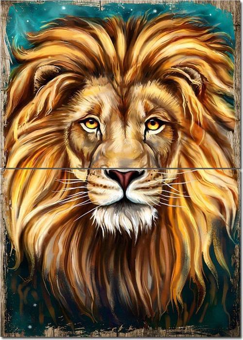 Uzun Tüylü Aslan Mavi Arkaplan Art Mdf Poster 70 cm x 100 cm