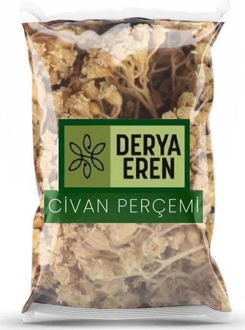 Civan Perçemi (Achillea millefolium) 250g