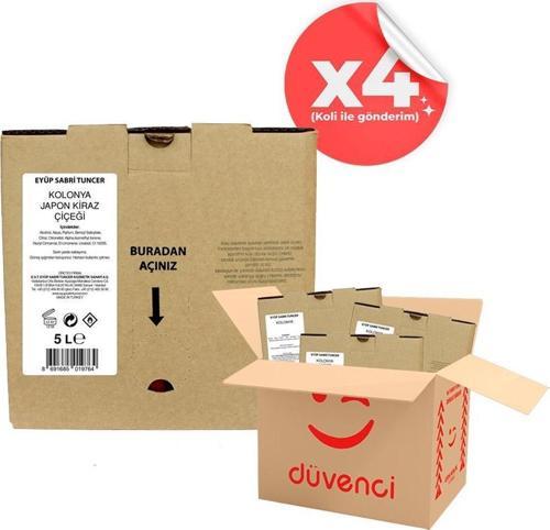 Japon Kiraz Çiçeği Kolonyası 5 lt x 4