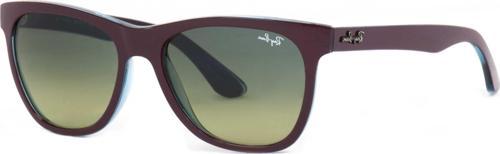 RB4184-6114-54 Unisex Güneş Gözlüğü
