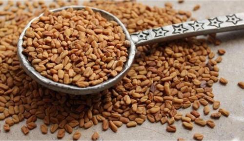 Çemen Otu Tohumu Kaliteli 1 Kg