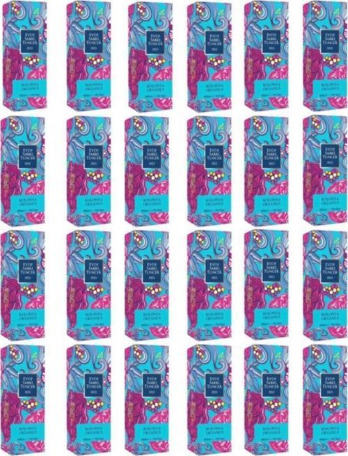 Okyanus Kolonyası Pet Şişe 400 ml x 24 Adet