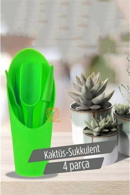 Kaktüs Sukkulent Dikim Seti