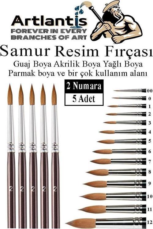 Resim Fırçası 2 Numara 5 li 1 Paket Samur Yuvarlak Uçlu Fırça Seti Guaj Sulu Akrilik Yağlı Boya Fırçaları