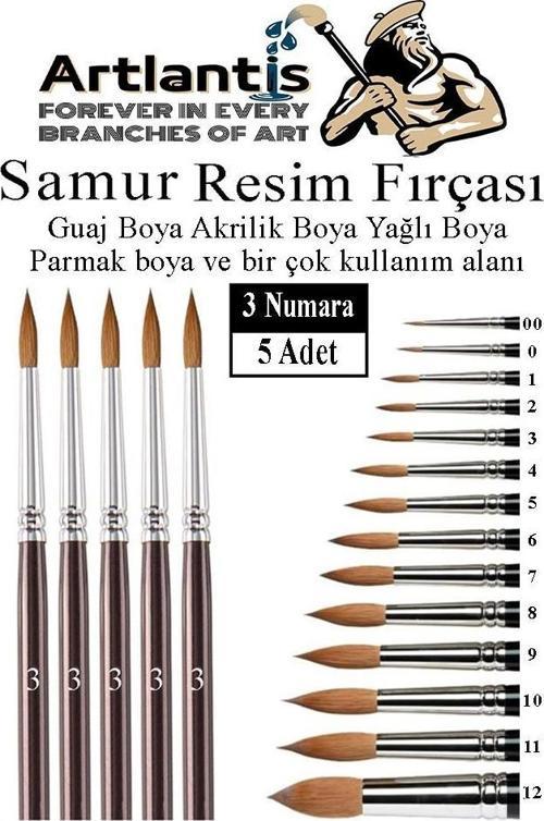 Resim Fırçası 3 Numara 5 li 1 Paket Samur Yuvarlak Uçlu Fırça Seti Guaj Sulu Akrilik Yağlı Boya Fırçaları