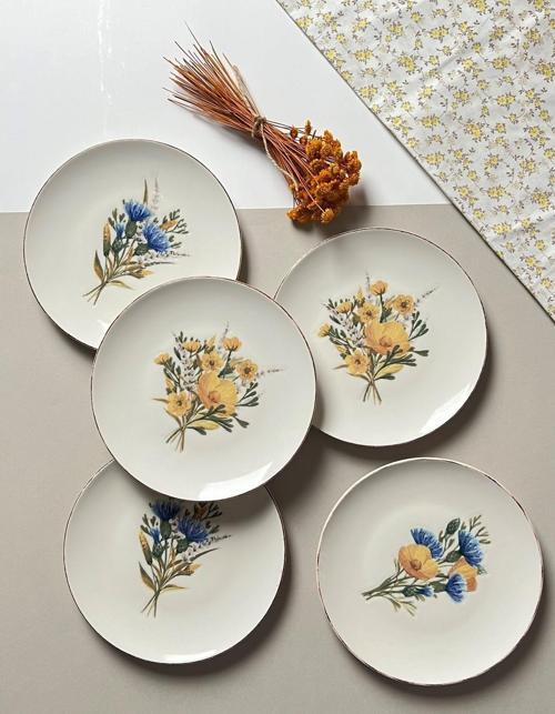 Lily Tuval Pasta Takımı 21cm 6 kişilik 6 Parça TVL6PTPRS1062