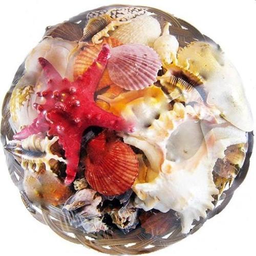 Fruit Of The Sea 35 CM