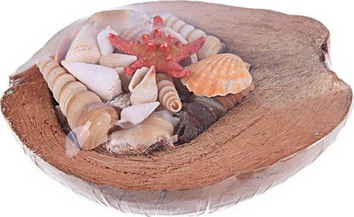 Coco Kabuk Sepeti 18-20 cm Arası
