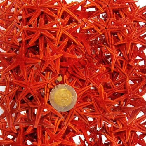 Naturel Deniz Yıldızı Minik Boy  1.5 Cm -3 Cm (100 Adet)  Kırmızı