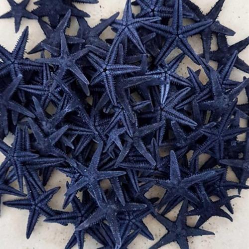 Naturel Deniz Yıldızı Minik Boy 0.5 Cm -1.5 Cm (100 Adet)  Mavi
