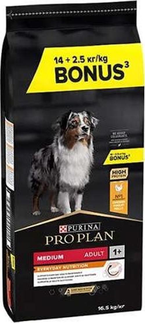 Medium Adult Tavuklu Yetişkin Köpek Maması 14+2.5 Kg