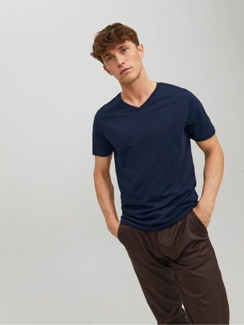 Jjeorganıc Basıc Tee Ss V-Neck