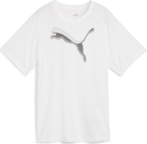 Evostripe Tee Kadın T-Shirt